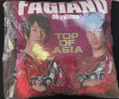 2016年FAGIANO Okayama クッション 矢島・豊川サイン入り