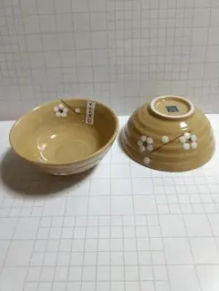 Item thumbnail for item 218a23d7-4d7c-4aa1-be5f-cc4c5fe6e5be