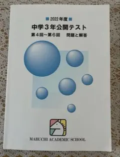 2026年最新】馬渕 公開テスト中学3の人気アイテム - メルカリ