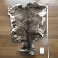 鹿革 レザークラフト