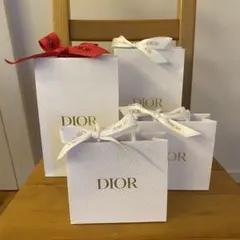Dior ショッパー 4個セット