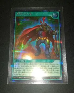 【ミニレター】選手の生還　シク【即日発送】