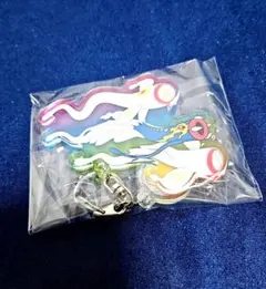 ポケモン　アクリルキーホルダー　シビルドン