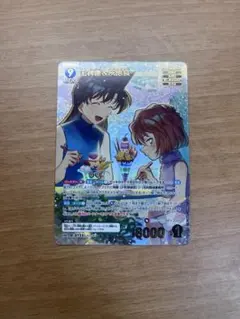 田*中様 名探偵コナン 毛利蘭 & 灰原哀 MRP 魅惑のマジック - メルカリ