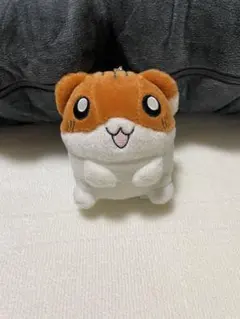 ハムスター倶楽部 サンライク 昭和レトロ 当時物所 しげっち