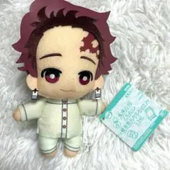 【タグ付き】鬼滅の刃 ともぬい ぬいぐるみ 蝶屋敷おやすみver. 竈門炭治郎