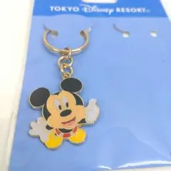 未使用 ディズニーリゾート ミッキーマウス キーチェーン キーホルダー