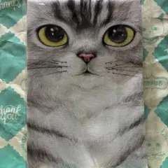 コヤンイサムチョン　赤ちゃん猫と友達　ファブリック　Vol.２