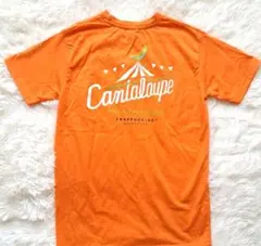 【レア✨非売品】スターバックス スタッフTシャツ カンタロープメロン S　美品