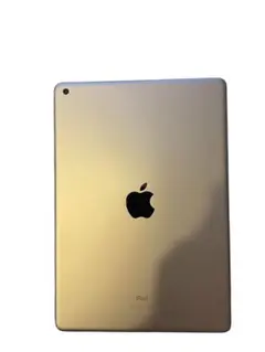 箱付きApple iPad 第9世代　10.2インチ シルバー