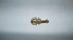 Item thumbnail for item 78e54228-77b4-4dc6-be30-f66915e68fb3