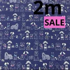 シーチング 2m