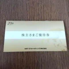 近畿日本ツーリストKNT-CTホールディングス　株主優待券　1枚のサムネイル