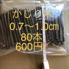 Item thumbnail for item e46abbee-8eec-430e-8f44-7d6cfdc9d696