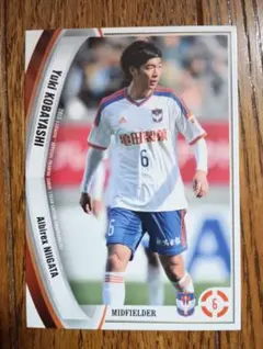 橋本健人 アルビレックス新潟 2025 TOPPS J.League トレカ - メルカリ
