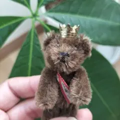 2025年最新】ベア シュコーの人気アイテム - メルカリ