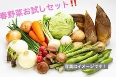春野菜お試しセット　ABC!