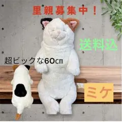 ❣️大人気ビックLサイズ60㎝❣️ひざねこ すやすや ★動物愛護団体寄付対象　ミケ ❣️大人気ビックLサイズ60㎝❣️ひざねこ すやすや ☆動物愛護団体