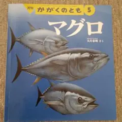 Item thumbnail for item 62c0ac43-8c6d-440f-8799-b3e755dc1b73