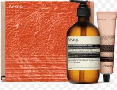 Aesop ハンドウォッシュ＆ハンドクリームセット