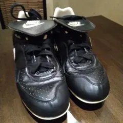 Item thumbnail for item 5dcf904a-a457-4746-9260-b70e73549843