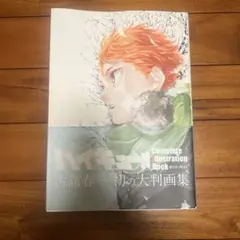 ハイキュー!! 大判画集