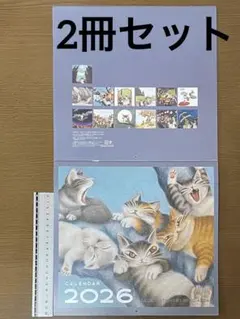 わちふぃーるど 壁掛カレンダー 2026 ダヤン 2冊セットのサムネイル