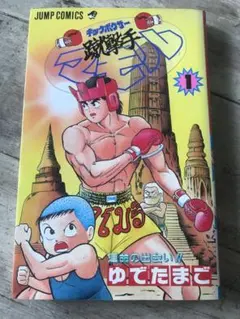 2026年最新】キックボクサーマモルの人気アイテム - メルカリ
