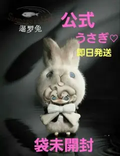 Moonin ムーニン 夜の帳が下りる Siamese rabbitうさぎ 兎 - メルカリ