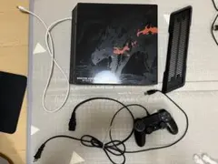 PS4pro 本体　リオレウスエディション
