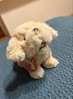 Item thumbnail for item 07e142d8-dc09-49f2-9d8b-e754a18c2e7c