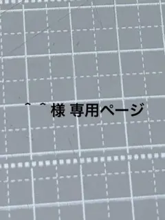 ＾＾様 KAITO纏め売り