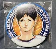 ハイキュー!! 影山飛雄 缶バッジ シュヴァイデンアドラーズ