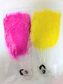 ハカセンス　葉加瀬太郎　35周年　2本セット