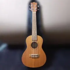 Item thumbnail for item 9e271b14-72db-452f-aa2b-a482e667f27a