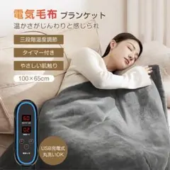 YAMAZEN 洗えるふんわりあったか電気毛布 シングルADM-221(CBR
