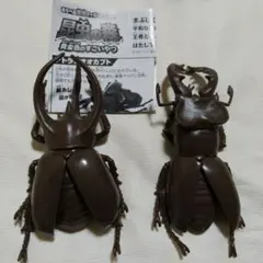 昆虫の森 黄金色のすごいやつ アトラスオオカブト ミヤマクワガタ フィギュア