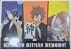 2026年最新】リボTコレクションの人気アイテム - メルカリ