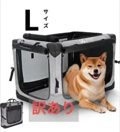 Item thumbnail for item 95e7750b-b17d-497a-b853-223b8947214e