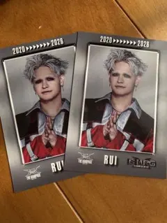 与那嶺瑠唯 フォトカ 2枚セット