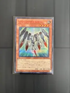 イクヤ様 リクエスト 2点 まとめ商品