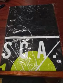 【期間限定値下げ】SCANDAL　Tシャツ　Lサイズ(ブラック)J2