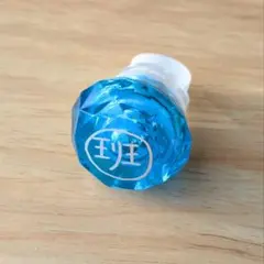 パラライ 犬飼憂人 リンライ 2023