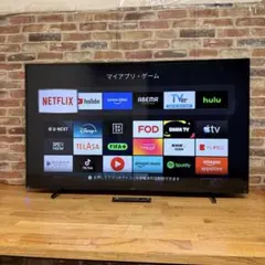 全国送料込❣️FPD50型4K量子ドットスマートテレビネット動画視聴可