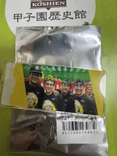 阪神タイガース　シークレット優勝アクリルキーホルダー　全20種