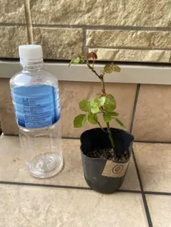 ＹＵＪＩ様 リクエスト 3点 まとめ商品