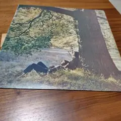 John Lennon / Plastic Ono Band EAS-80704のサムネイル