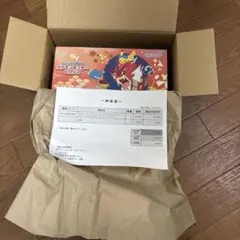 ポケモンカードゲーム スペシャルBOXヒロシマ