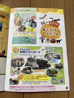 群馬サファリパーク 子ども入園料無料券 2027年1月31日まで