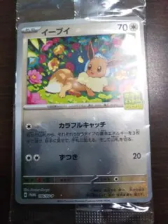 ポケモンカード イーブイ 限定カード